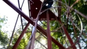 АРБУЗ БОМБА! [сбросил арбузик из 45 метровой пожарной вышки]