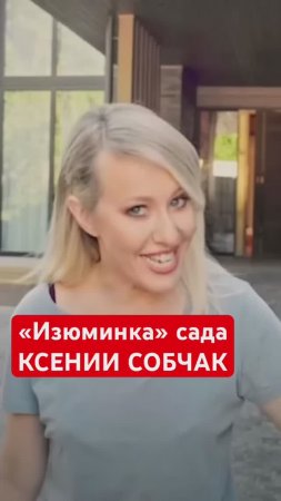 Это есть ТОЛЬКО в саду КСЕНИИ СОБЧАК