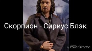 Кто ты из Гарри Поттера по знаку зодиака.