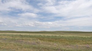 КАЗАХСТАН НЕВЕРОЯТНАЯ КРАСОТА ПРИРОДЫ ! Путешествие по степям. Rich steppes of Kazakhstan