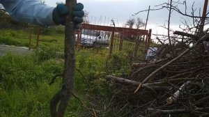 Отзыв на измельчитель садовый универсальный, 2800 Вт, ЗИЭ-44-2800 "ЗУБР"