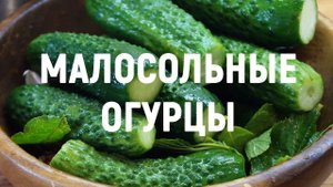 Малосольные ОГУРЦЫ ХРУСТЯЩИЕ. Самый БЫСТРЫЙ рецепт в БАНКЕ.