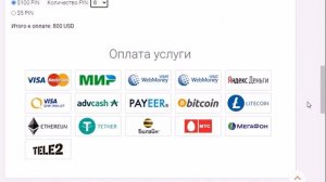 Что такое пин