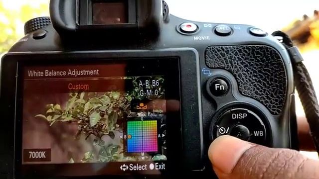 How to set a custom white balance on Sony camera in (Hindi) смотреть онлайн