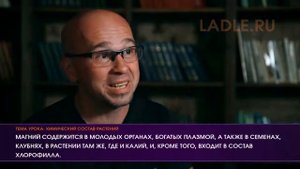 Фотосинтез. Минеральное питание растений. Биология 6 класс. Химический состав растений Обмен вещест