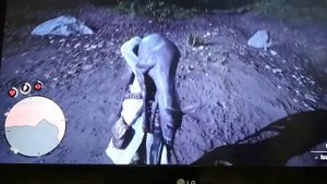 Как добывать превосходные шкуры в рдр2