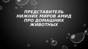Представитель подземного мира Амид узнает новых животных.
