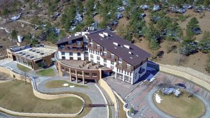 Наш отель в горах Forrest terrace hotel