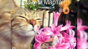 С 8 МАРТА!!!С МЕЖДУНАРОДНЫМ ЖЕНСКИМ ДНЁМ!