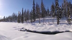 Заказник_Кутса