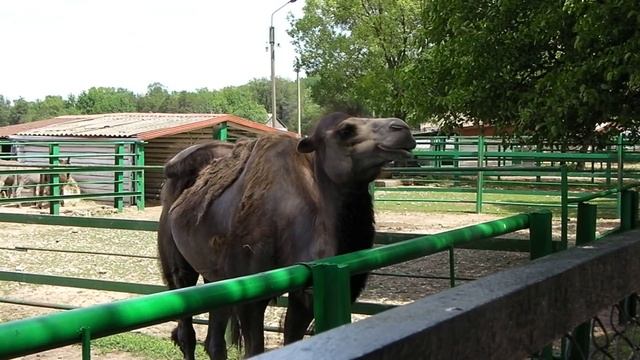 Аскания Нова Херсонская область