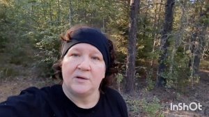 Гриб Груздь -Царский гриб! Сбор и засолка! Холодный засол настоящих груздей! Рецепт прилагается!