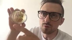 отзыв от Виталия, аромат Zarkoperfume MOLeCULE No. 8