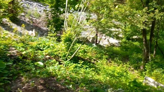 дача снт любитель1 смотреть онлайн