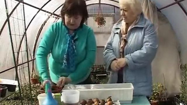 Дачные советы 11.04.2014