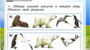 Задание 1 Где живут белые медведи? - Окружающий мир 1 класс (Плешаков А.А.) 2 часть