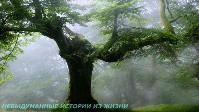 ?НЕУДАЧНИК?Истории из жизни?Жизненные истории?Аудио рассказы