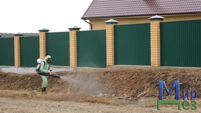 Уничтожение клещей. Санобработка [Дезинсекция] участка от клеща - Мир Дез смотреть онлайн