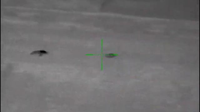 Eliminating hogs in a crawfish pond. #pulsarthermal hog hunting - pulsar trail 2 xq50 lrf смотреть онлайн