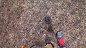 Все монеты в огородах! Коп 2020 с металлоискателем Minelab Equinox 600