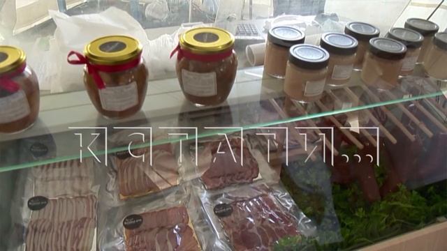 Крупнейшая аграрная выставка начала работу в Кстовском районе смотреть онлайн