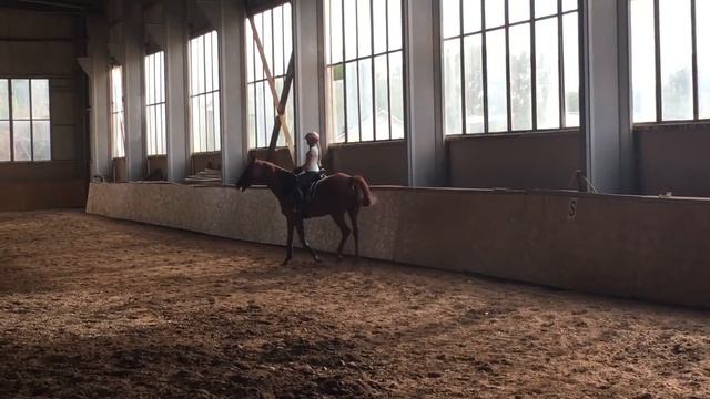 Тирасполь и Настя смотреть онлайн