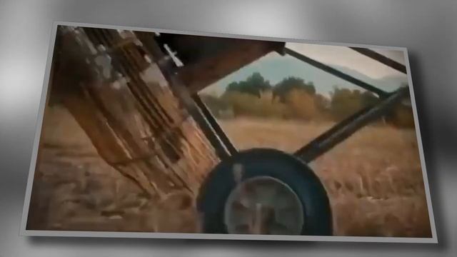 Признаки финансовых пирамид и нашумевшая история MUDARABAH CAPITAL и Мейржана Туребаева смотреть онлайн