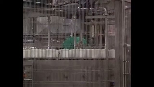 производство пицца чиз МОЛМАТ смотреть онлайн