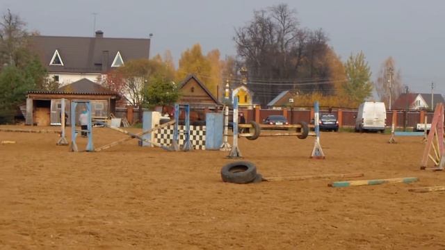 Ламанш. Русская упряжь.