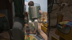 менуэт на баяне