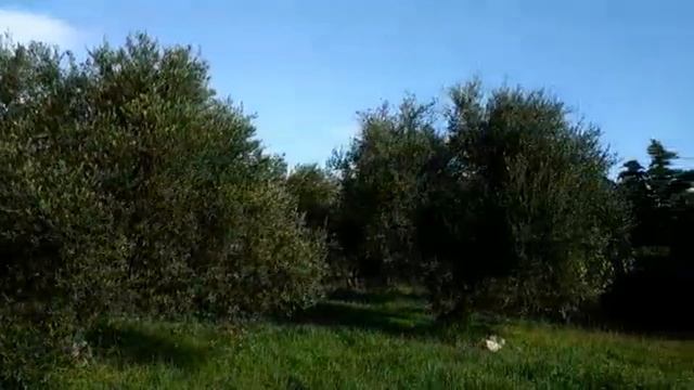 17 Аркан смотреть онлайн