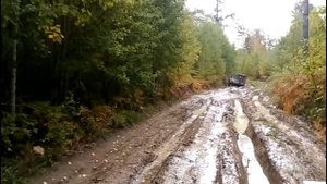поездка на курминский залив!