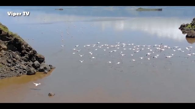 Enigmas of the Solar System | Documentary Boxset | Knowing the Planets смотреть онлайн