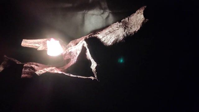 Светильник из корня Акации ― символ вечной жизнИ! смотреть онлайн