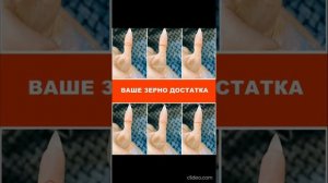Зерно достатка: его виды в Хиромантии
