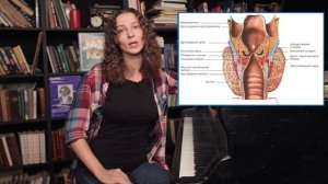 Видеоуроки по вокалу #1. Строение голосового аппарата.