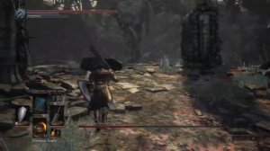 Dark Souls 3 Босс: Знаток кристальных чар
