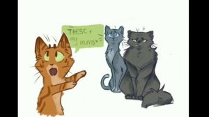 Коты воители озвучка комиксов приколы - смешное видео, приколы, смотреть онлайн