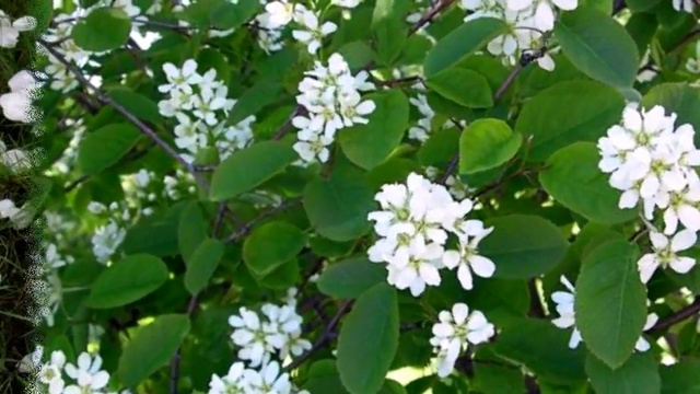 НА ОБРЫВЕ смотреть онлайн