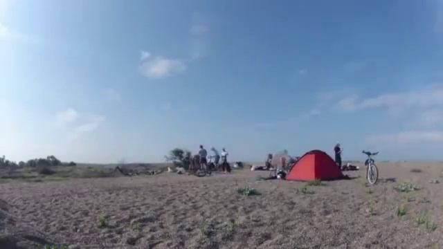 Очень породистый кот в Москве смотреть онлайн