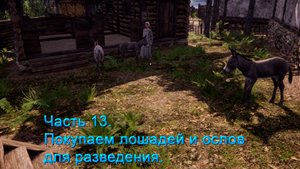 Medieval Dynasty (Часть 13) Подробный обзор игры! Покупаем лошадей и ослов для разведения!