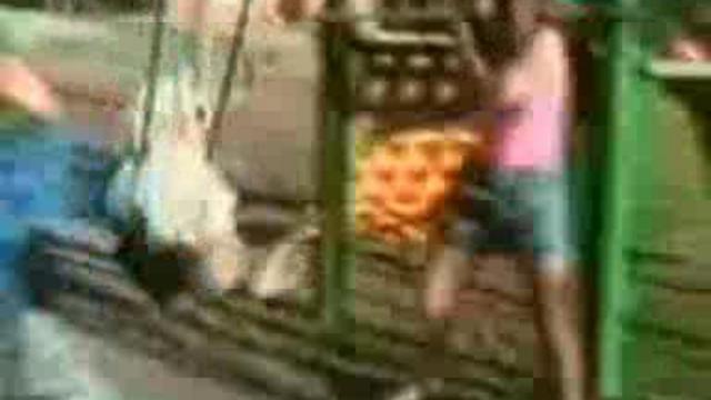 приколы с животными смотреть онлайн