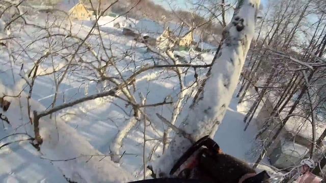 Пилим здоровый тополь на морозе смотреть онлайн