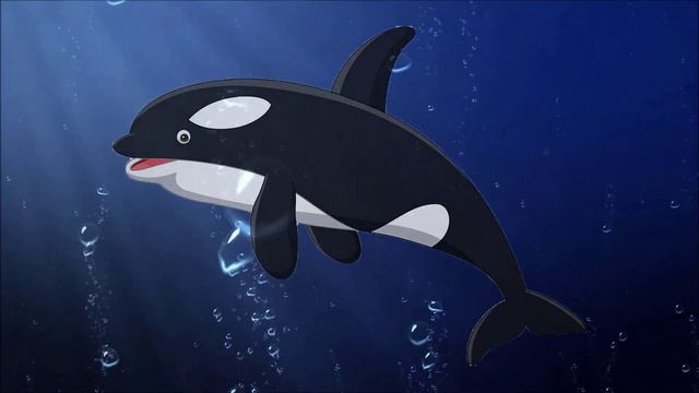 How to draw cartoon dolphin, ichthyosaur, beluga, seal isolated смотреть онлайн