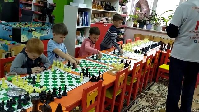 Шахматы Омск