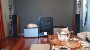 Chario Pegasus + Arcam P 1000 + стеклянная полка.