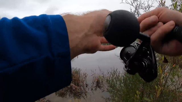 Found a Hidden Spillway in The Woods and Caught THIS! смотреть онлайн