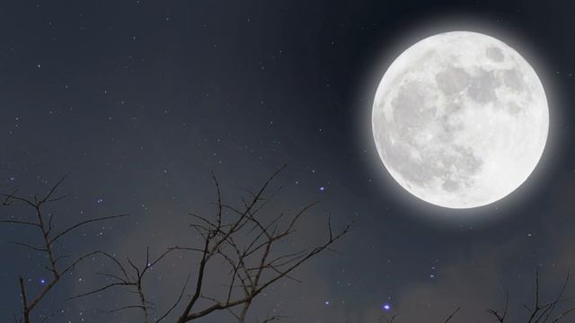 Full Moon in Gemini | DEC 19 | FINAL THOUGHTS & NEW RESULTS смотреть онлайн