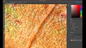 Fujifilm Pixel Shift on X-T5 and X-H2 - Problems and Limitations Abound!