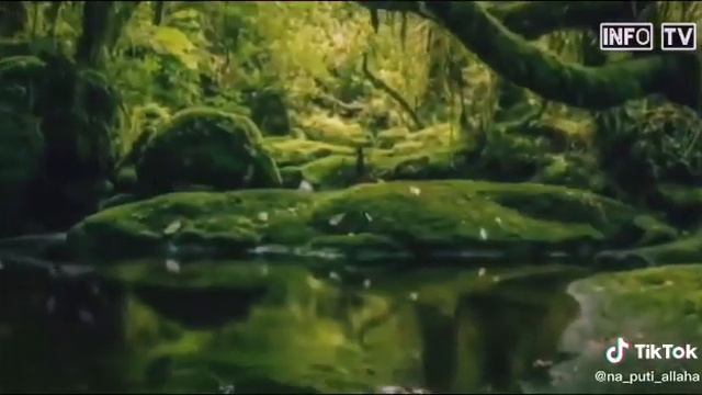 Очень поучительная и трогательная история.💔 Нельзя трогать чужое